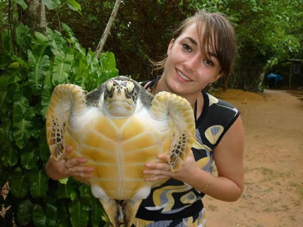Turtle Hatchery Kosgoda