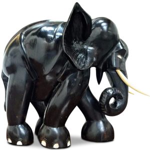 https://ovationtravelssrilanka.com/wp-content/uploads/2021/12/new-elephant-1-300x300.jpg